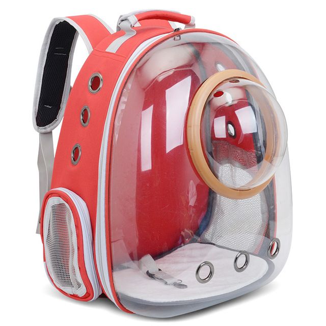 Pets Transparent Travel Backpack